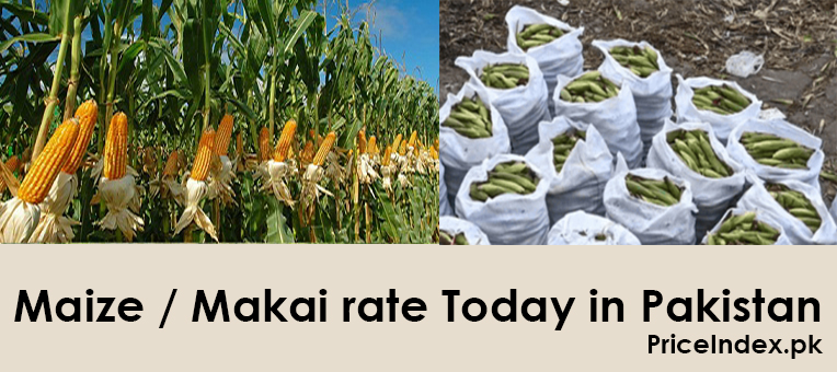 maize price in pakistan