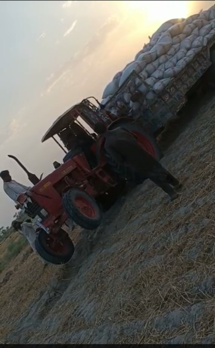 Belarus 510 model 2016 tractor